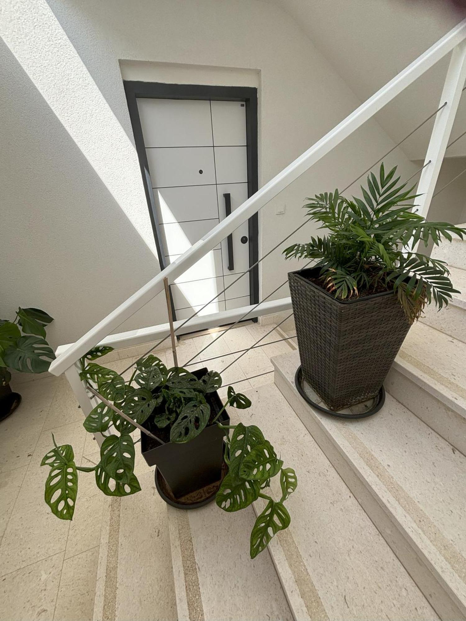 Vila Regina Apartment Paloma With Swimming Pool 제제라 외부 사진