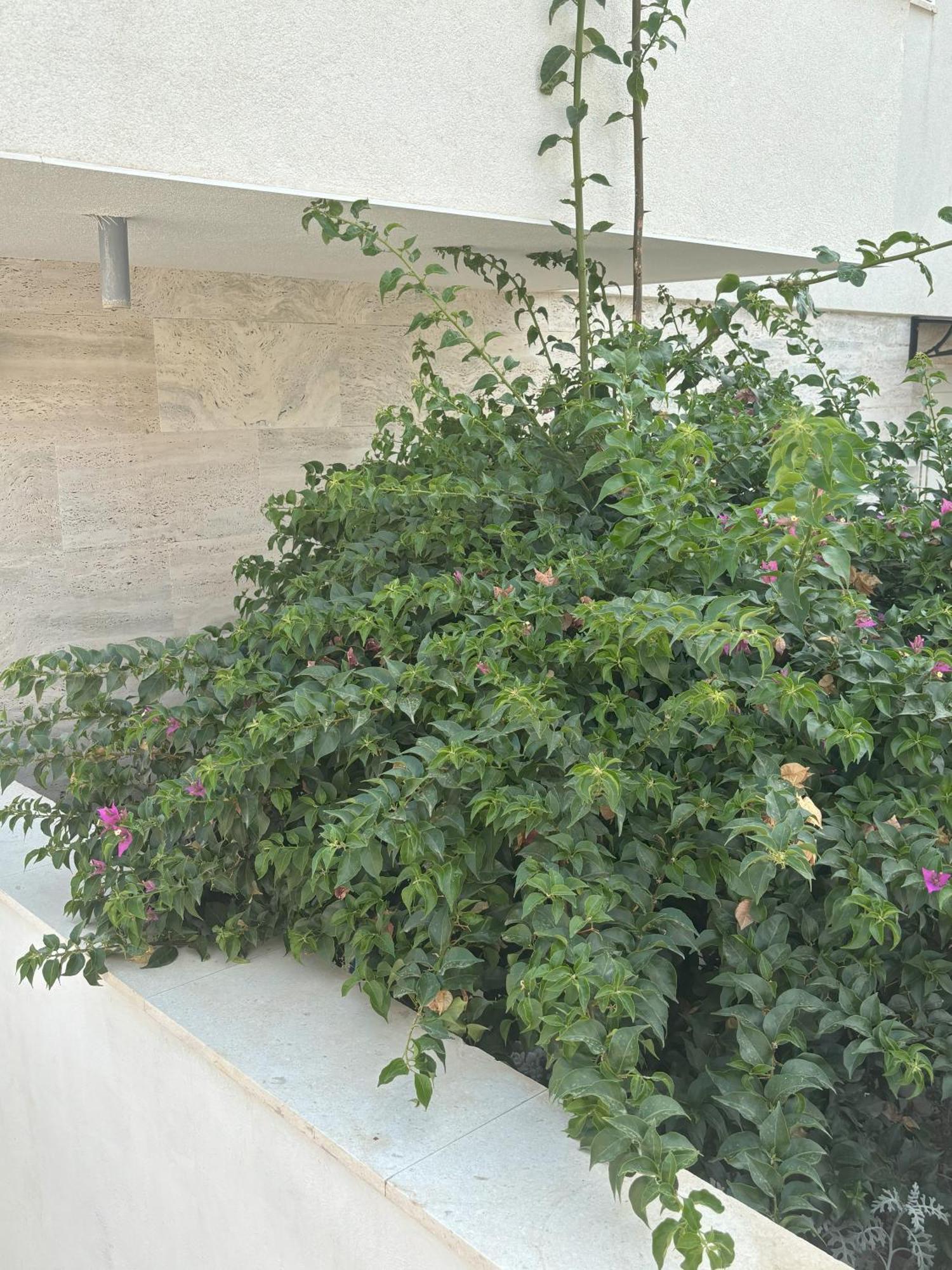 Vila Regina Apartment Paloma With Swimming Pool 제제라 외부 사진